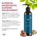 MKS-Eco Men Pilsner Hand & Body Lotion 296ml - Sandalwood | Best Moisturizer for Men | Buy Online Internationally - Buy Online on GoSupps.com
