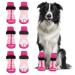 AUTOWT Anti Slip Dog Socks 3 Pairs - Indoor Hardwood Floor Dog Paw Protector Prevents Wear and Tear Pet Dog Adjustable Anti-Shedding Dog Socks for Small Medium Large Dogs(M 3 Pairs - Fuchsia) Medium 3 Pairs - Fuchsia