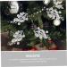 Artibetter 20pcs the fruit wreath artificial decorate Christmas Tree Decor berries christmas tree branch crafts Christmas Tree Decorations flower arrangement artificial xmas berry stem Silver 19X5X5CM - Buy Online on GoSupps.com