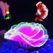 Besimple Aquarium Coral Ornament Luminous Effect Coral Decoration Resin for Fish Tank Landscape (Purple) Purple