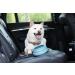 Ohmo Dog Travel Bowl - Anti-Drooling Portable 700ml Foldable Water Bowl for Road Trips - Unique Design in Light Blue - Essential Dog Travel Accessories - Buy Online on GoSupps.com