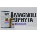 Magnoliophyta | Rose Hip Oil with Collagen | 50 ml | Body and Face Oil | All Skin Types | Regenerates and Nourishes in Depth | Combats Wrinkles | 100% Natural from Chile - Buy Online on GoSupps.com