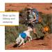 Luffwear Approach Pack - Portable Pet Hiking & Camping Bag with Dishes | Campfire Orange (Small) | International Shipping Available - Buy Online on GoSupps.com
