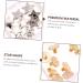 NUOBESTY 1 Box Five-Pointed Star Rivet Nail Accessories Studs for Leather Repair DIY Luggage Nails Suitcase - Buy Online on GoSupps.com