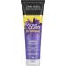 Self Tanner & Brass Fighting Shampoo and Conditioner Set for Blondes | John Frieda Violet Crush Daily Purple Shampoo + Conditioner and Jergens Natural Glow Instant Sun Sunless Tanning Mousse Deep Bronze. - Buy Online on GoSupps.com