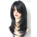 Long Layered Multicolor Shoulder-Length Wig - Synthetic Hair for Women (Black) - Buy Online on GoSupps.com