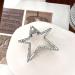 Silver Star Metal Hair Claw Clip - Stylish Hair Barrette for Women and Girls - Buy Online on GoSupps.com