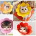JIANYH 3 Pcs Cat Cone Collar Soft Adjustable Dog Cone Collar Soft Dog Cat Protective After Surgery Pet Protective Collar Anti-Bite or Lick for Cats and Small Dogs(3 Color) - Buy Online on GoSupps.com