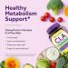 Doctor's Recipes CLA Supplements 2000mg 180 Softgels 80% Conjugated Linoleic Acid from Safflower Oil for Women & Men Non-Stimulating Support Healthy Metabolism & Lean Mass Non-GMO - Buy Online on GoSupps.com