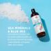 Soapbox Sea Minerals & Blue Iris Body Wash - Moisturizing Cleanser with Aloe Vera & Shea Butter | 16oz Bottles (Pack of 3) - Paraben, Gluten, Silicone Free, Cruelty Free & Vegan - Buy Online on GoSupps.com