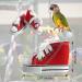 12-Piece Mini Sneaker Bird Toy Set for Parrots and Dogs - Bird Chew Toys and Keychains - Buy Online on GoSupps.com