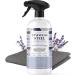 Therapy Stainless Steel Cleaner Kit - Plant-Based, Solvent-Free, Natural Essential Oils - Removes Fingerprints, Water Marks, Residue and Grease from Appliances (Single) 1 Pack