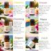Hotel Scent Essential Oil Set | 6 x 0.33 fl. oz Aromatherapy Oils for Diffusers Car Freshies Candle Making & DIY Blends - Buy Online on GoSupps.com
