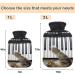 Funny Cat with Piano Heat Bottle | 1L Transparent Hot Water Bottle for Pain Relief & Warmth | Perfect Winter Hand & Foot Warmer - Buy Online on GoSupps.com