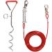 Schecker Bully walking leash - 5 m + mooring stake 40 cm long