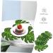 ULTECHNOVO 120 Pcs Monstera Decoration Luau Cupcake Decorations Palm Leaves Cake Holder Mini Paper Plant Decorations Leaves Decor Hat Green Decor Leaves Cake Decor Polyester Jungle Hawaii - Buy Online on GoSupps.com