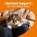 Zesty Paws Hairball Bites - Gut Health Soft Chews for Cats with Salmon | 60 Count - Buy Online on GoSupps.com