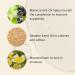 Jurlique Nourishing Cleansing Oil - Best Makeup Remover & Oil Cleanser for Face | 6.7 Oz - International Shipping Available - Buy Online on GoSupps.com