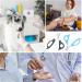 2 PCS Scissors-Shaped Pill Cutter - Sharp Blade Pill Splitter with Ergonomic Handle for Accurate Tablet Division - Ideal for Vitamins & Pills - Buy Online on GoSupps.com