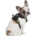 Littlearth NHL Boston Bruins Front Clip Pet Harness - Team Color, Small - Buy Online on GoSupps.com