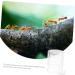 Balacoo 5pcs pet Water Feeder ant Workshop ant Habitat Science ant Castle ant Feeder for ant Farm ant - Buy Online on GoSupps.com
