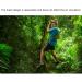 Outdoor Mosquito Head Net for Hiking, Camping, and Fishing - Buy Online on GoSupps.com
