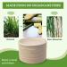 140 Pieces Compostable Paper Plates 10 inch Heavy Duty Disposable Plates Eco-Friendly 100% Bagasse Natural Biodegradable Sugarcane Bagasse Plates for Party Dinner Birthday - Buy Online on GoSupps.com