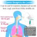 Portable Nebulizer with 3 Adjustable Speed  for Adults and Kids  Handheld Nebulizer for Breathing Problems  with Automatic-Cleaning  Laser Ultrafine Mesh Making  Effective for Home use - Buy Online on GoSupps.com