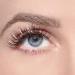 POPETPOP 1 Box Glitter False Eyelashes Individual Eyelashes Women False Lashes Glitter Individual Lashes Glitter Lash Clusters Makeup Lashes Miss Halloween High-grade Fiber Extend - Buy Online on GoSupps.com