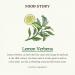 Buy SKINFOOD Lemon Verbena Body Lotion 450g | Hydrating & Moisturizing Lotion for Men & Women | Fresh Citrus Scent | Shop Internationally - Buy Online on GoSupps.com