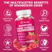 Magnesium Oxide Gummies 400mg for Nerve & Muscle Support - Chewable Supplement for Adults & Kids Sugar-Free Non-GMO Raspberry Flavor 60 Count - Buy Online on GoSupps.com