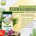 BASIC AYURVEDA Ashwagandha Tablets - 1000mg | Winter Cherry Herbal Supplement | Plant-Based Formula for Daily Routine | Natural Root Extract for Men & Women | 40 Tablets - Buy Online on GoSupps.com