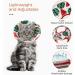 ComSaf Cat Recovery Collar - Lightweight & Adjustable Elizabeth Collar for Cats - Prevent Licking Wounds - Watermelon-M - Buy Online on GoSupps.com