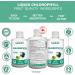 Liquid Chlorophyll Apple 500ml Cold Extracted from Non-GMO Alfalfa - Detox - Alkaline - Natural Body Deodorant Antioxidant - Made in Canada - Buy Online on GoSupps.com