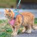 Adjustable Reflective Cat Harness and Leash Set - Escape Proof and Stylish Design for Small Pets - Pink XS (59 inch) - Buy Online on GoSupps.com