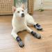Expawlores Anti-Slip Soft & Breathable Dog Socks - Adjustable Traction Control - XL Dark Gray - 4 Count - Buy Online on GoSupps.com