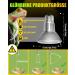 BRIGHARK 60W Reptile Heat Lamp - E27 Par20 Warm White 2700K Dimmable for Turtles Lizards Snakes & More (2 Pack) - Ideal Terrarium Lighting - Buy Online on GoSupps.com
