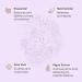 Buttah Skin Aloe Rose Refreshing Mist 4oz - Hydrating Rose Water Face Spray | Dorion Renaud | Black-Owned Skincare - Buy Online on GoSupps.com