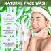 Trendyfave Aloe Vera Gel Foaming Cleanser Face Wash Natural Acne Face Wash Built-In Silicone Cleaning Brush For Acne Prone & Oily Skin Exfoliating Face Wash - Soothe Purify Facial Skin Care - Buy Online on GoSupps.com