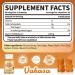 Vakasa Vitamin B2 Gummies 400mg Riboflavin Supplement for Immune Support - Non GMO, Gluten Free, Vegan - 60 Gummies - Buy Online on GoSupps.com