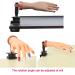 Acrylic Nail Practice Hand with C-clamp | Fake Nails Training Hand for Nail Technicians - Chocolate Hand - Buy Online on GoSupps.com