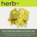 HerbLk Premium Ceylon Cinnamon Dried Leaves (0.5 Oz / 15g) 30+ Whole Leaves 100% Natural Leaves Loose Leaf Tea Organic No Additives No Caffeine Vegan Non-GMO From Sri Lanka - Buy Online on GoSupps.com