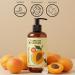 Best of Nature 100% Pure Apricot Oil Lightweight Massage & Body Oil Unscented Moisturizer for Hair Skin Face Ideal Carrier Oil for Essential Oils Half Gallon (64 fl oz) 64 Fl Oz (Pack of 1) - Buy Online on GoSupps.com