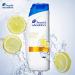Head & Shoulders Citrus Fresh Anti-Dandruff Shampoo for Oily Hair with Citrus Scents Pack of 6 x 250 ml - Buy Online on GoSupps.com