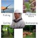 ZffXH Head Net Safari Hat with Mosquito Netting - Men Women Sun Cap for Gardening, Hiking, Fishing - 6 Pack (White & Camo) - Buy Online on GoSupps.com