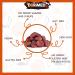 Dried Apricots 1 kg I Dehydrated Apricots 2.2 Lbs I Natural Apricots from Turkey I Unsulphured Apricot 2.2 Lbs I Resealable Bag I Dorimed - Buy Online on GoSupps.com