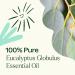 Buy 100% Pure Eucalyptus Globulus Essential Oil 10 mL - Therapeutic Grade for Diffuser Skin & Hair Aromatherapy DIYs | International Shipping - Buy Online on GoSupps.com