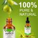 AIQIUSHA Organic Jojoba Oil 60ML - 100% Pure Cold Pressed Carrier Oil for Skin Hair Growth Frizz Control & DIY Beauty - Buy Online on GoSupps.com