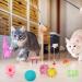 QUOZUO 50 Pcs Cat Toy Kitten Toys set Interactive cat Toy with Suction Cup Wand Hanging Door Flying cat Toys for Indoor Cats Cat Spring Toy Cat Toy Mouse cat ball toy Cat Crinkle Balls - Buy Online on GoSupps.com