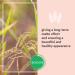 ECOCERA Rice Loose Powder - Hypoallergenic Transparent 15g | Ideal for Oily & Combination Skin - International Shipping Available - Buy Online on GoSupps.com